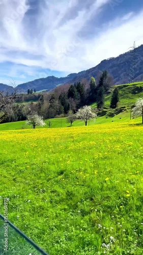 Scenic views from a train window as it glides past blooming meadows and majestic Swiss mountains. A peaceful journey that captures the joy of travel, nature, and mindful escape. 