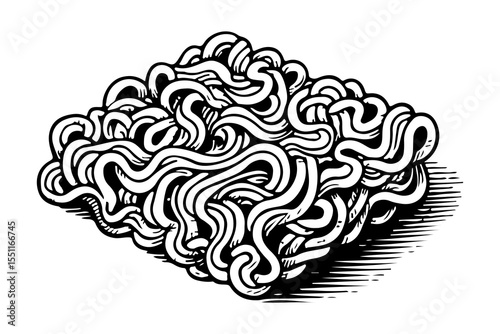 Noodles vector engraving style illustration