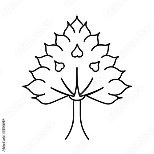 a philippine fire tree with wide crown and bold fl