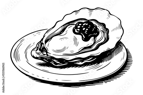 Oyster vector engraving style illustration