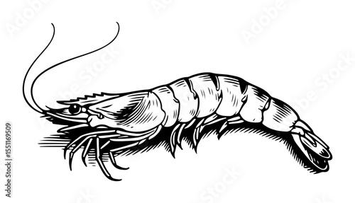 Tempura vector engraving style illustration