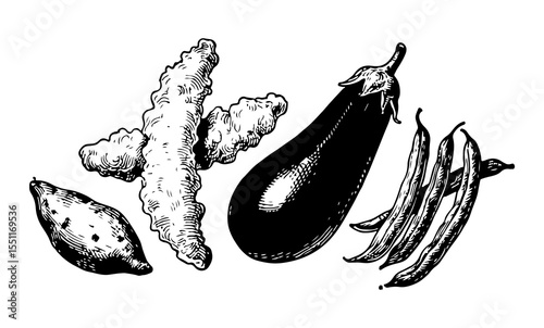 Tempura vector engraving style illustration