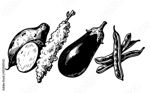 Tempura vector engraving style illustration