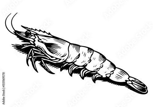 Tempura vector engraving style illustration