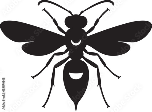 Black Silhouette of a Wasp Insect with Wings and Antennae on a White Background