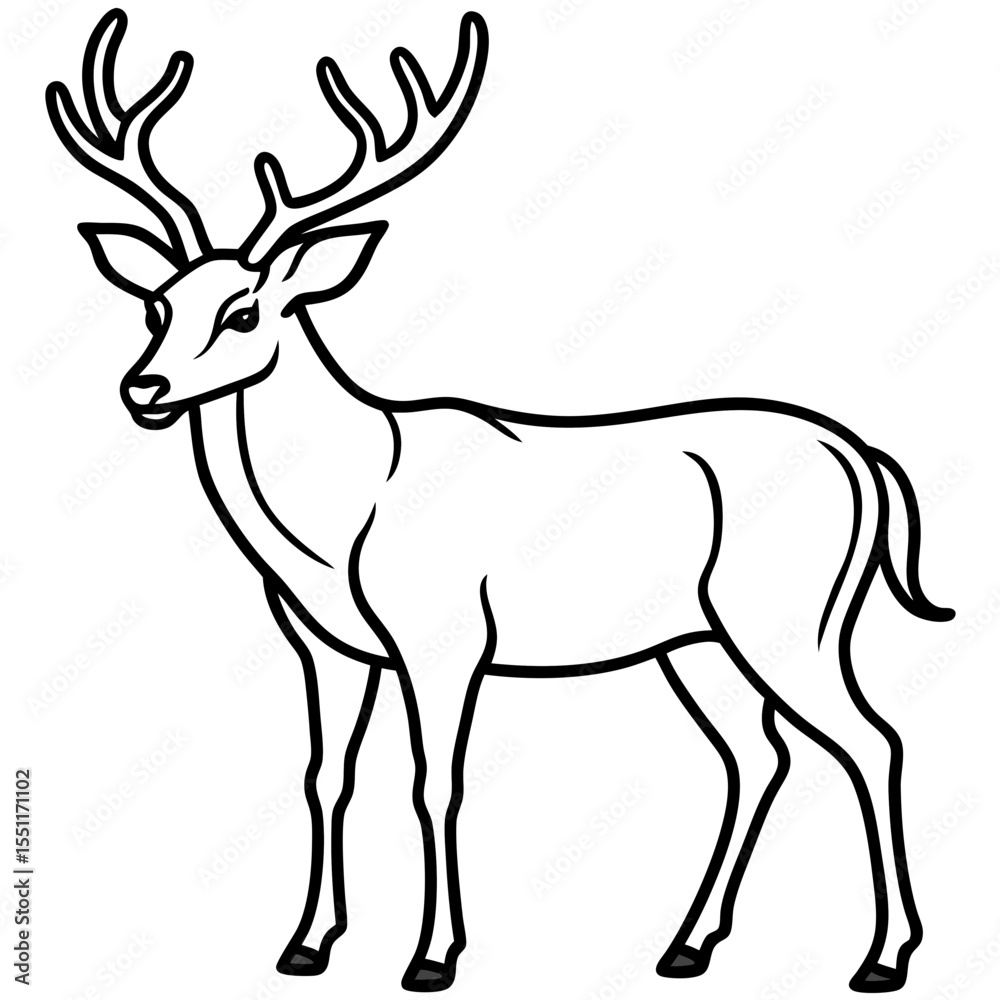 Fototapeta premium Forest Creatures Line Art Wapiti & Vole