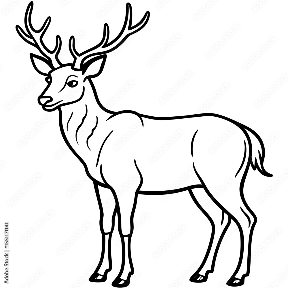 Fototapeta premium Forest Creatures Line Art Wapiti & Vole