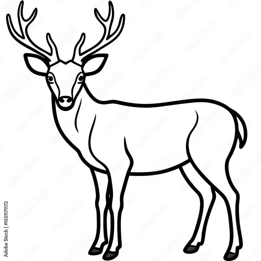 Fototapeta premium Forest Creatures Line Art Wapiti & Vole