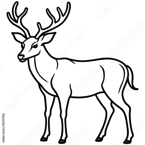Forest Creatures Line Art Wapiti & Vole