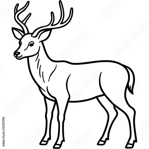 Forest Creatures Line Art Wapiti & Vole