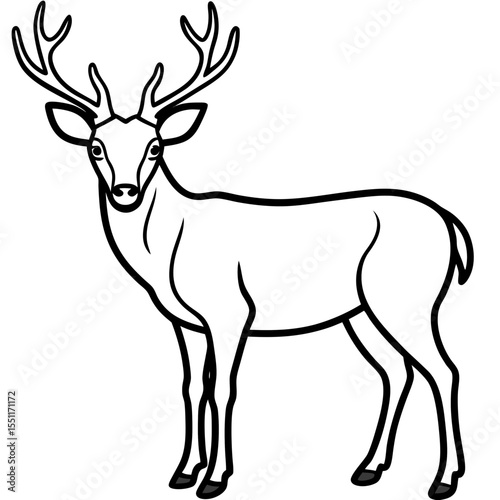 Forest Creatures Line Art Wapiti & Vole