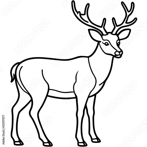 Forest Creatures Line Art Wapiti & Vole