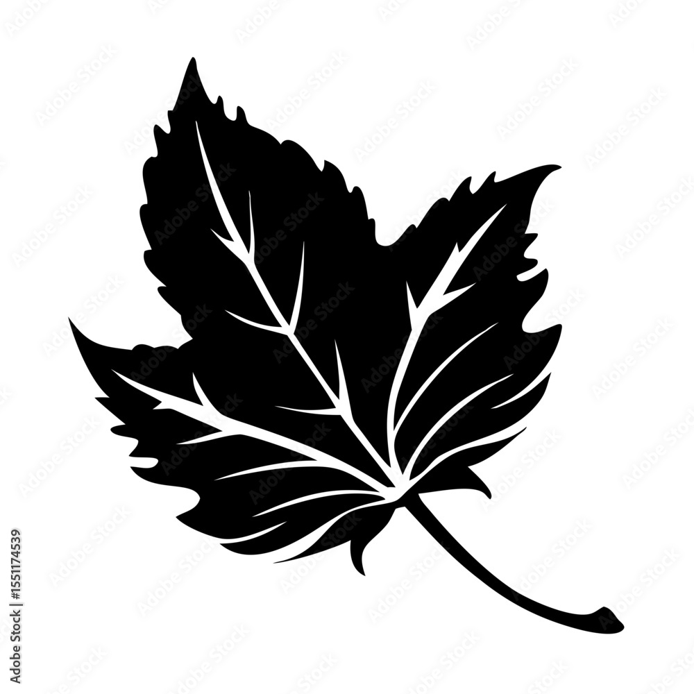 Fototapeta premium Single Leaf Falling Silhouette – Black Vector Illustration Isolated on White Background