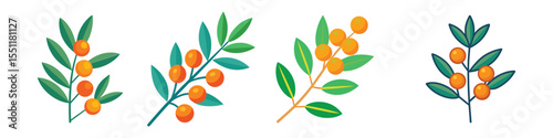 Buckthorn Flat Illustration in Simple Minimalist Flat Style
