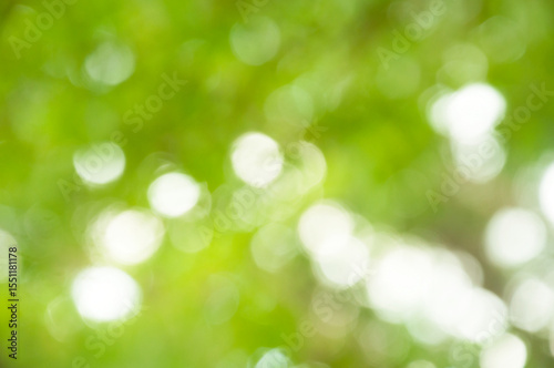 Abstract blurred green bokeh background