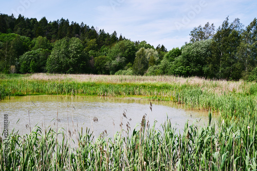 Canvas Print By the Østensjøvannet Lake of Oslo in June 2025.