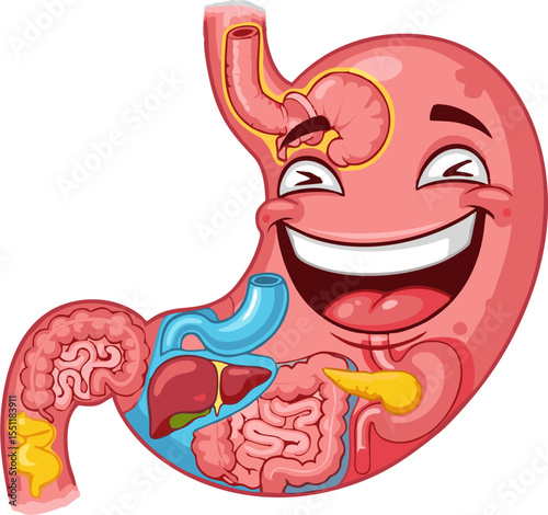 Smiling Cartoon Stomach with Internal Organs Depicting Digestive System Anatomy