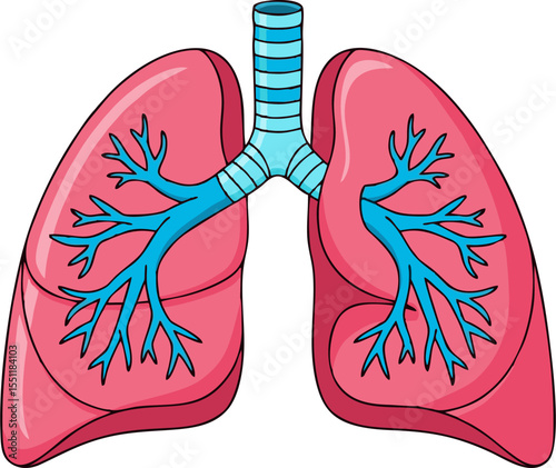 Stylized Human Lungs with Detailed Bronchial Tree Illustration