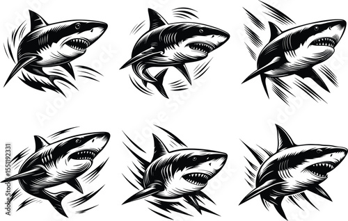 Dynamic black and white shark illustrations with sharp teeth