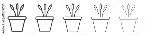 cattails in pot icon outline ilustration vector symbol