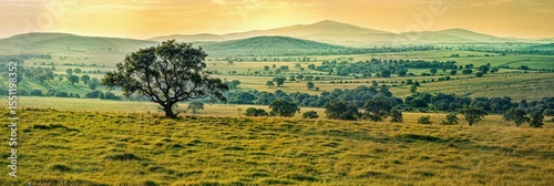 Prairie verdoyante et vallonnée avec un arbre solitaire au centre, ponctuée de bosquets épars, et des collines brumeuses à l'horizon sous un ciel jaune-vert