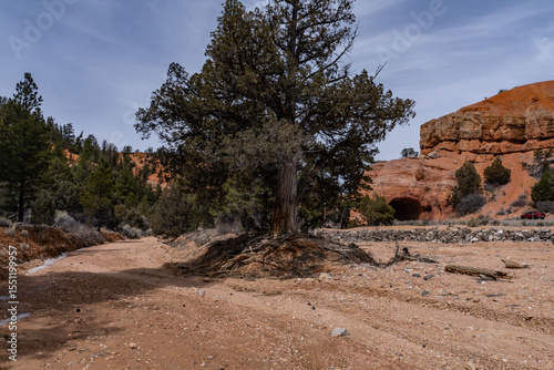  Intermittent, temporary or seasonal rivers or streams. Red Canyon Arch, Panguitch, Garfield County, Utah geology. State Route 12 or Scenic Byway 12 (SR-12). Claron Formation (Tcp) Pink member, 