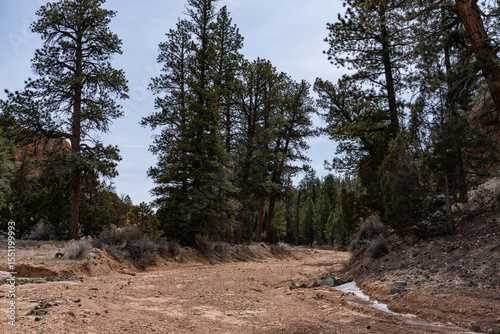  Intermittent, temporary or seasonal rivers or streams. Red Canyon Arch, Panguitch, Garfield County, Utah geology. State Route 12 or Scenic Byway 12 (SR-12). Claron Formation (Tcp) Pink member, 