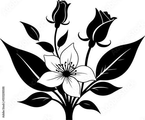 Jasmine Flower Silhouette Vector Art,