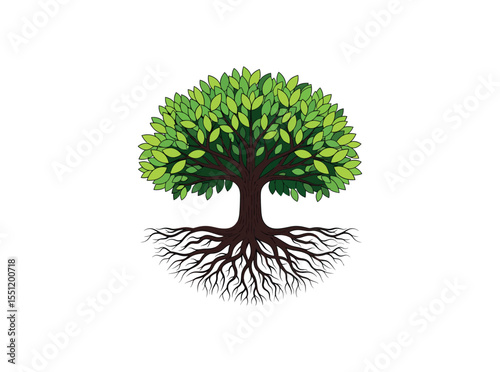 Elegant tree design with detailed roots and lush green foliage, perfect for eco themes. Vector Illustration