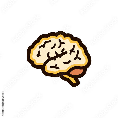 Human brain demonstrates anatomy in medical illustration drawing isolated