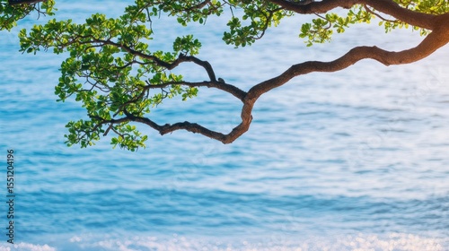 Tree branches swaying in the wind, while the ocean waves create a soothing sound nearby.