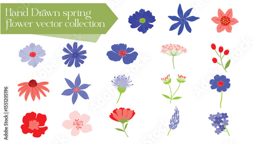 hand drawn spring flower vector collection set