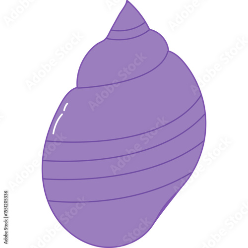 Sea Shell