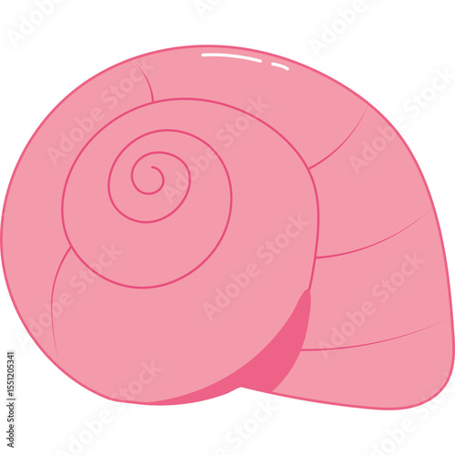 Sea Shell