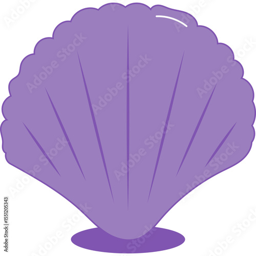 Sea Shell