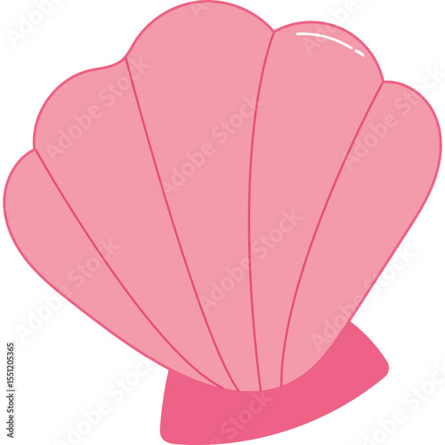 Sea Shell