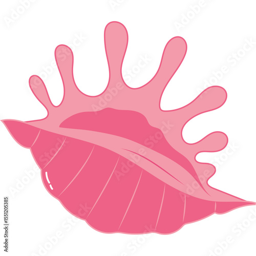 Sea Shell