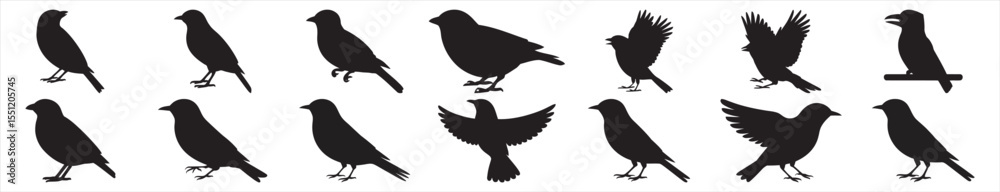 Fototapeta premium Black bird silhouettes in various poses, a versatile collection of 16 vector bird icons for nature, wildlife, and environmental designs, EPS format.