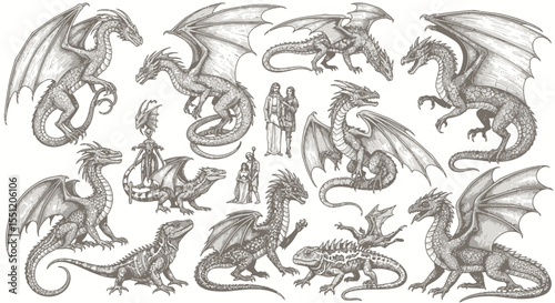Diverse Collection of Dragons and Lizards in Vintage Style Illustrations