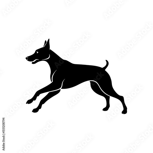 running doberman silhouette vector illustration 