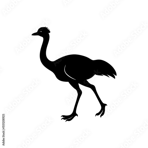 running emu silhouette vector illustration 