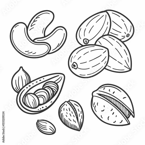 Nutty Delights: Hand-Drawn Assortment of Nuts for Creative Culinary Projects