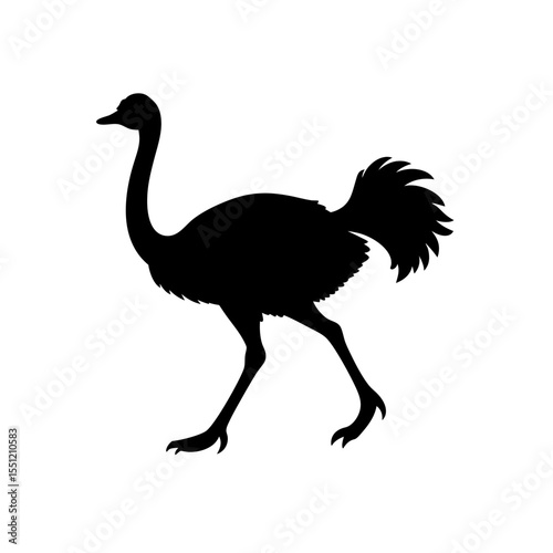 running ostrich silhouette vector illustration 