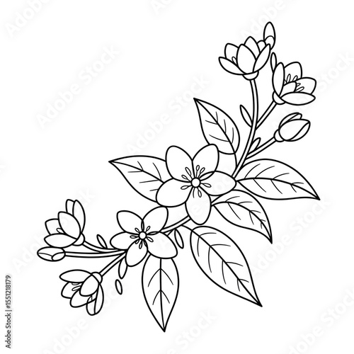 Jasmine glower coloring page