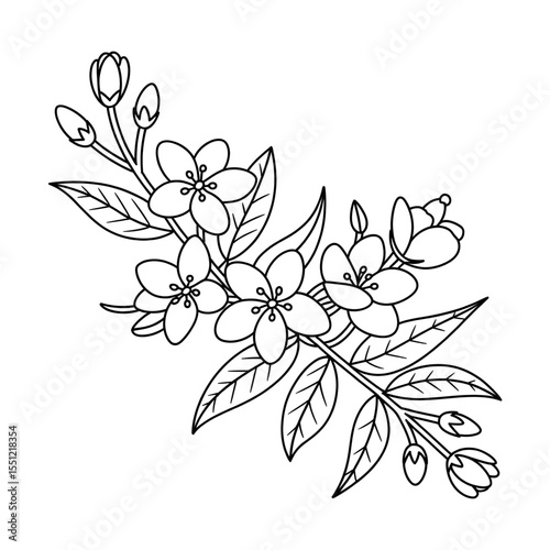 Jasmine line drawing glower coloring page