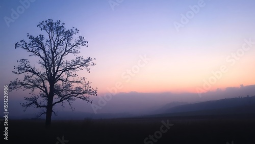 Silhouette of a leafless tree at sunrise over misty hills