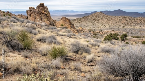Arid landscape with rocky outcrops, scrub vegetation, and distant mountains under a cloudy sky