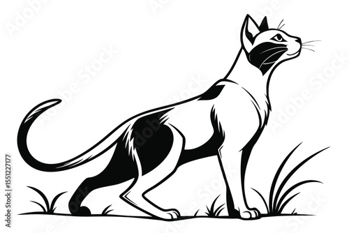 Elegant Black and White Cat Illustration Standing in Grass Observing Something in the Distance with an Alert Expression