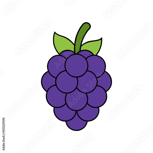 blackberry fruit on white background   .svg