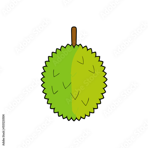 durian fruit on white background   .svg